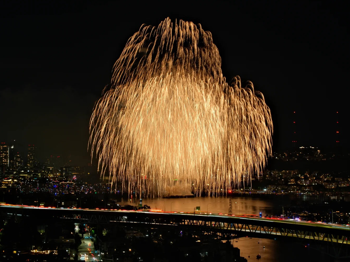 firework 美国独立日烟花2.jpg