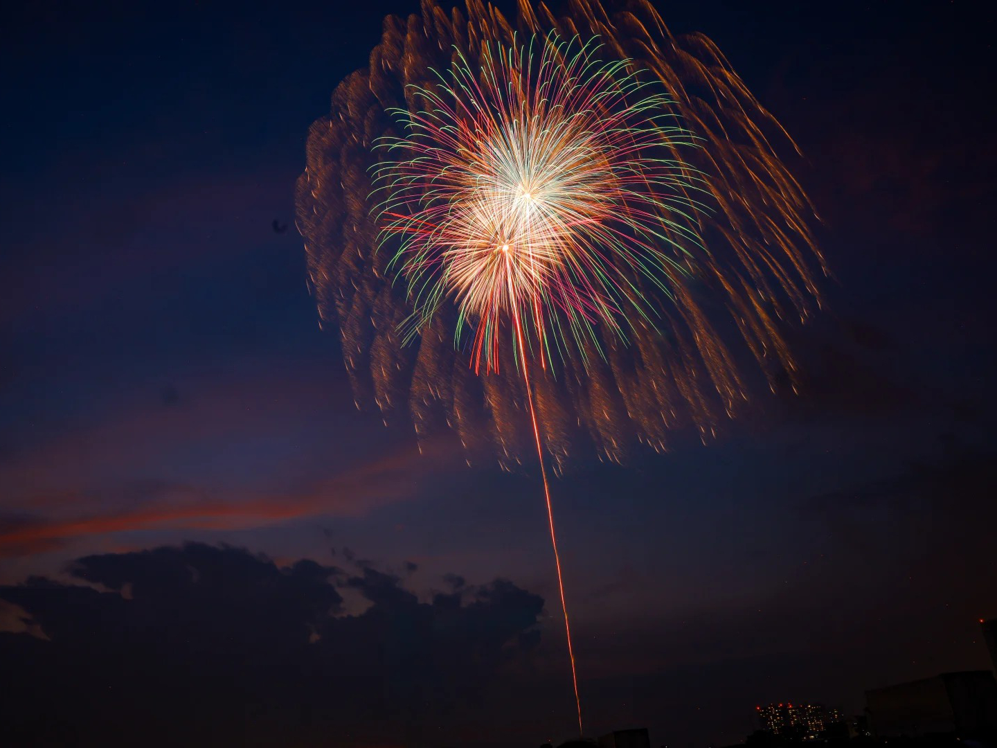 Tokyo Lit Up: 14,000 Fireworks at the 51st Edogawa Fireworks Festival 2026